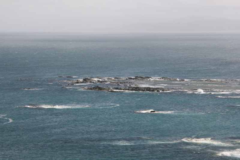 Nieuw-Zeeland 2011 - 1156